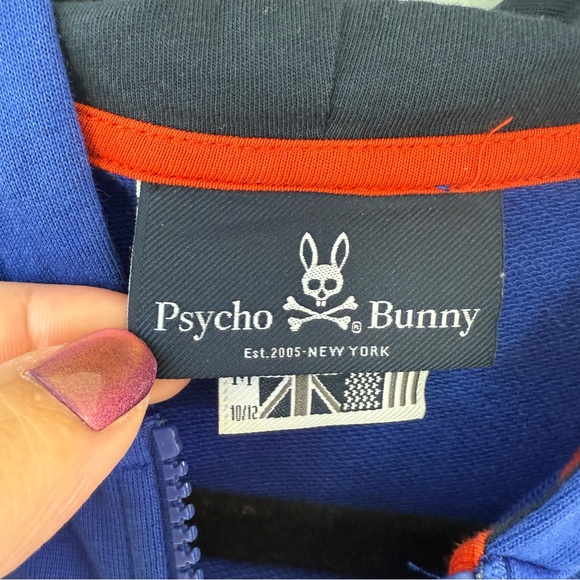 Psycho Bunny Warwick color block logo hoodie - Picture 4 of 11